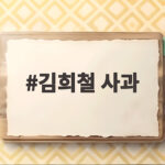 김희철 태극기 논란 사과와 교훈 김희철 사과