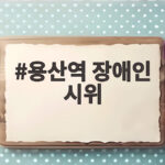 용산역 장애인 시위 1호선 무정차 통과 용산역 장애인 시위