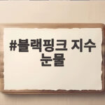 블랙핑크 지수 눈물 의미 직접 해명 블랙핑크 지수 눈물