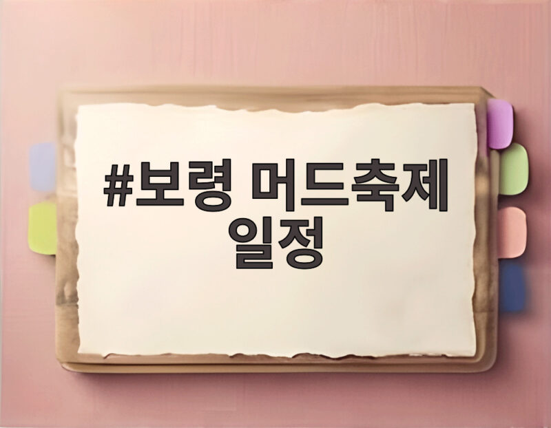 보령 머드축제 일정