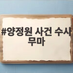 양정원 사건 수사 무마 의혹 경찰 구속 전말 양정원 사건 수사 무마