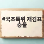 국조특위 재검표 일정 충돌 논란 국조특위 재검표 충돌