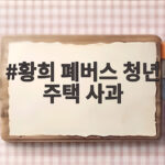 황희 폐버스 청년 주택 사과