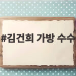 김건희 가방 수수 인정 법정 진술 정리 김건희 가방 수수