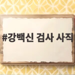 강백신 검사 사직 대장동 수사 핵심 검사 강백신 검사 사직