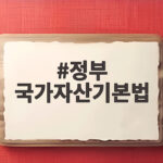 정부 국가자산기본법 제정 통합 관리 시대 정부 국가자산기본법