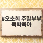 오초희 주말부부 독박육아