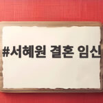 서혜원 결혼 4개월 만 임신 소식 서혜원 결혼 임신
