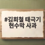 김희철 태극기 현수막 사과