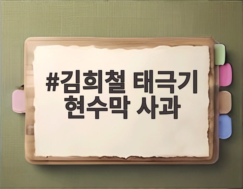 김희철 태극기 현수막 사과