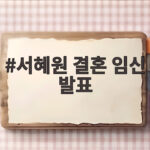 서혜원 결혼 4개월 만 임신 발표 서혜원 결혼 임신 발표
