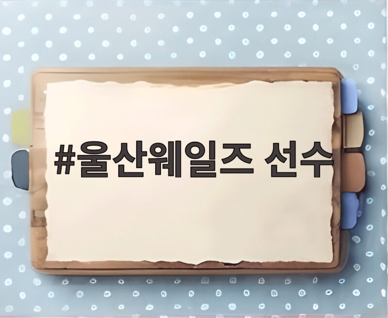 울산웨일즈 선수