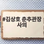김상호 춘추관장 사의
