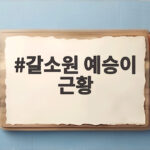 갈소원 근황, 21세 큐브 고수가 됐다 갈소원 예승이 근황
