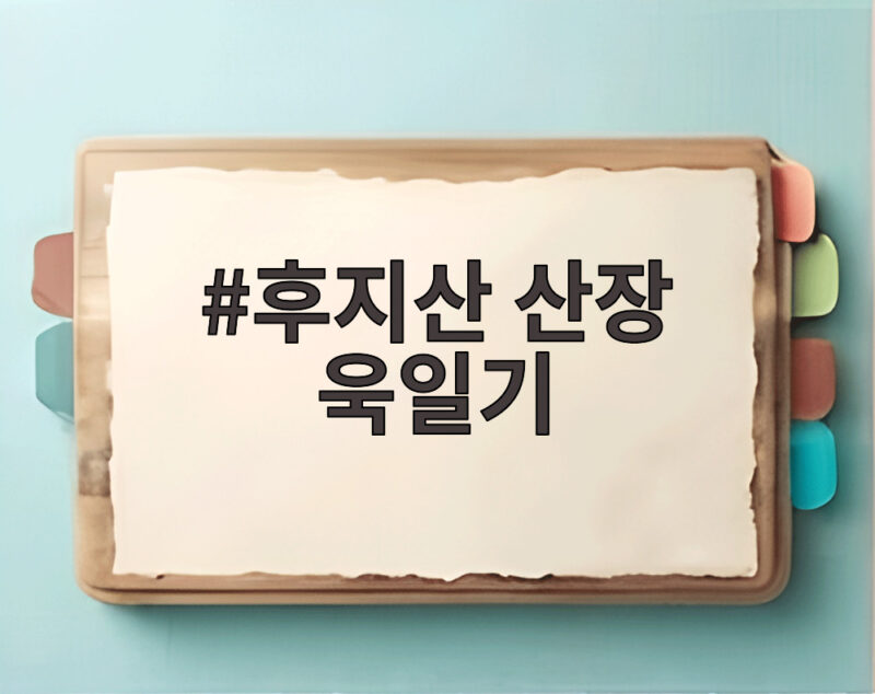 후지산 산장 욱일기 논란과 문제점 1 후지산 산장 욱일기
