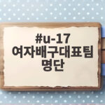 u-17 여자배구대표팀 명단