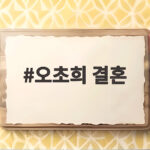 오초희 결혼 위기와 쌍둥이 육아 갈등 오초희 결혼