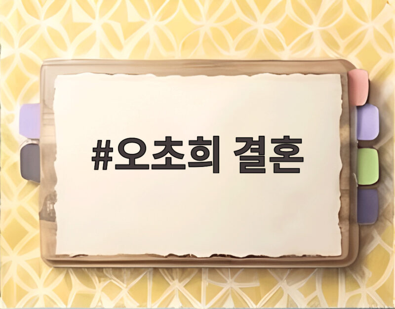 오초희 결혼 위기와 쌍둥이 육아 갈등 1 오초희 결혼