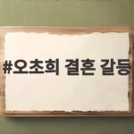 오초희 결혼 갈등 쌍둥이 육아 위기 극복 오초희 결혼 갈등