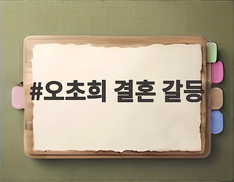 오초희 결혼 갈등 쌍둥이 육아 위기 극복 1 오초희 결혼 갈등