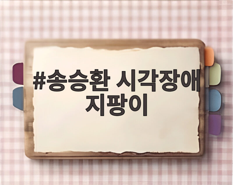 송승환 시각장애 지팡이