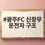 광주FC 신창무 불난 차량서 운전자 구조 광주FC 신창무 운전자 구조
