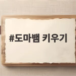 도마뱀 키우기