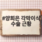 양희은 각막이식 수술 후 근황 화제 양희은 각막이식 수술 근황
