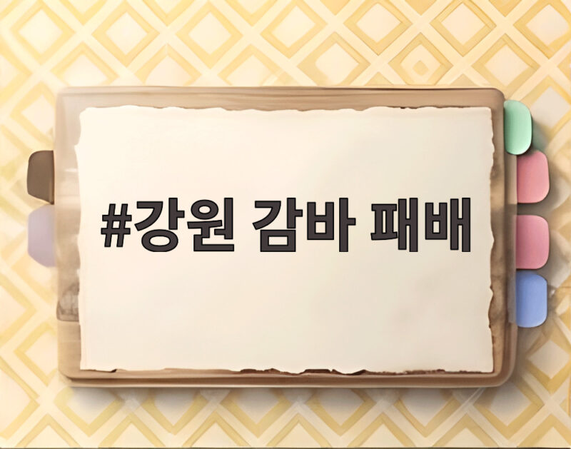 강원 감바 패배