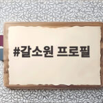 갈소원 프로필, 성숙한 매력 공개 갈소원 프로필