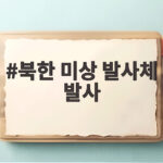 북한 미상 발사체 발사