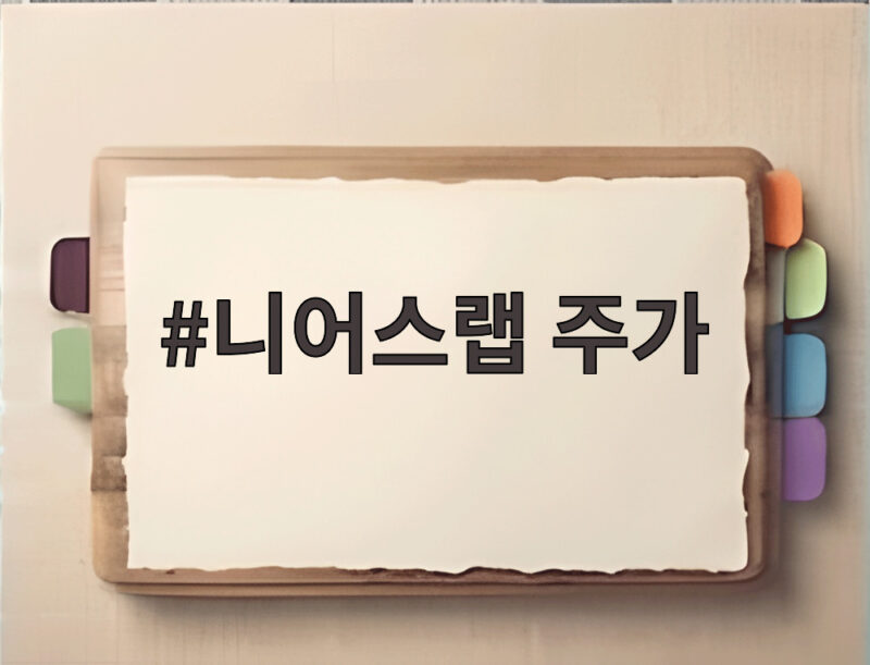 니어스랩 주가