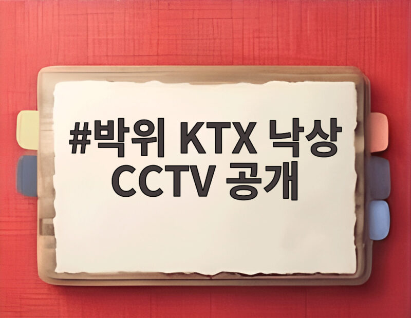 박위 KTX 낙상 CCTV 공개 논란 구독자 100만 붕괴까지 1 박위 KTX 낙상 CCTV 공개