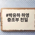 박유하 하영 증조부 친일 논란 해석 박유하 하영 증조부 친일