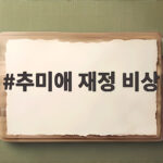 추미애 재정 비상 선언, 위기 극복 방안 추미애 재정 비상