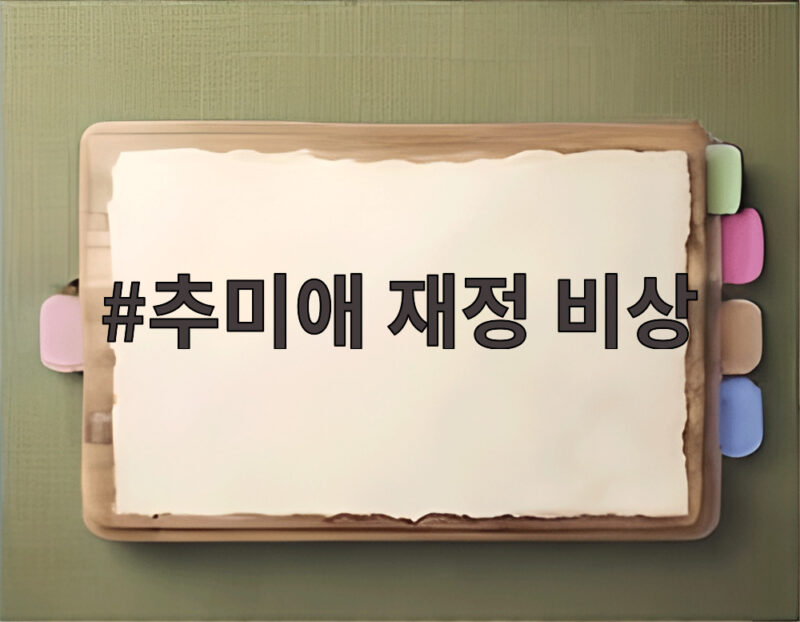 추미애 재정 비상 선언, 위기 극복 방안 1 추미애 재정 비상