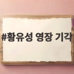 황유성 영장 기각 사유와 이번 결정 황유성 영장 기각