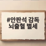 안판석 감독 뇌출혈 별세 향년 65세 유작 공개 안판석 감독 뇌출혈 별세