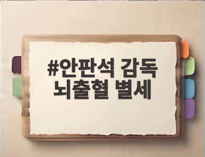 안판석 감독 뇌출혈 별세