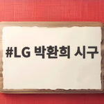 독립운동가 후손 박환희 광복절 시구 LG 박환희 시구