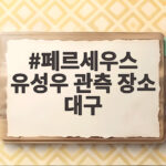 페르세우스 유성우 관측 장소 대구