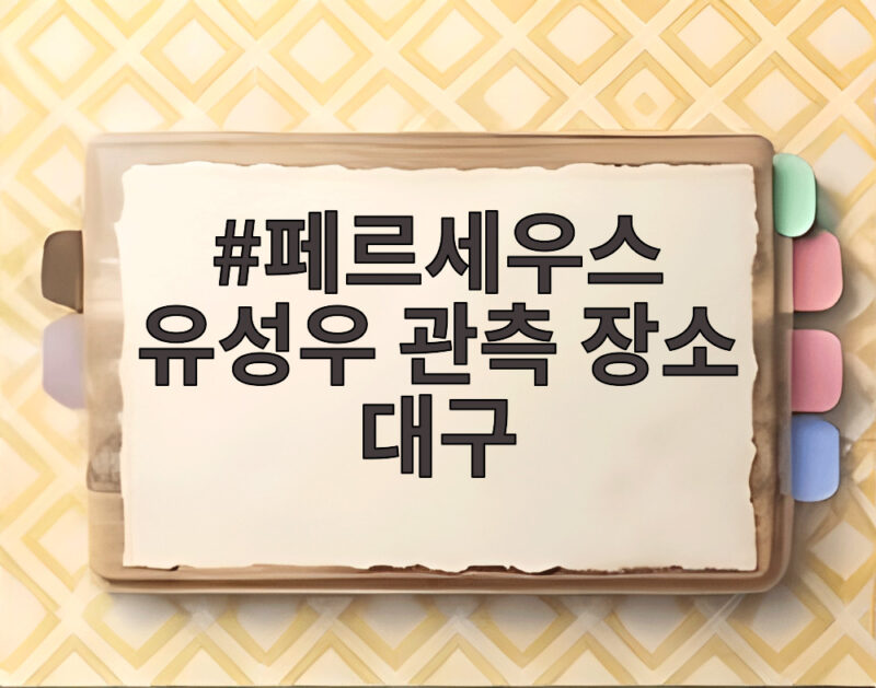 페르세우스 유성우 관측 장소 대구