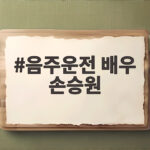 음주운전 배우 손승원