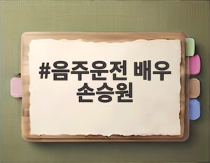 음주운전 배우 손승원