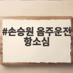 손승원 음주운전 항소심
