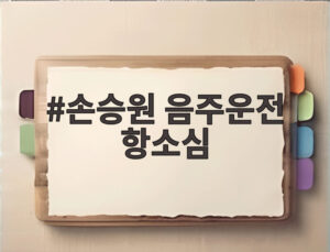 손승원 음주운전 항소심