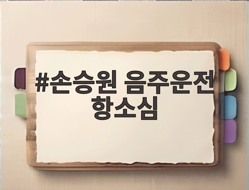 손승원 음주운전 항소심 오늘 결과와 처벌 전망 1 손승원 음주운전 항소심