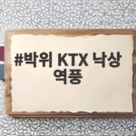 박위 KTX 낙상 역풍