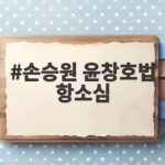 손승원 윤창호법 항소심 선고 결과와 전망 손승원 윤창호법 항소심