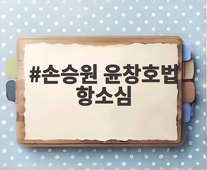 손승원 윤창호법 항소심